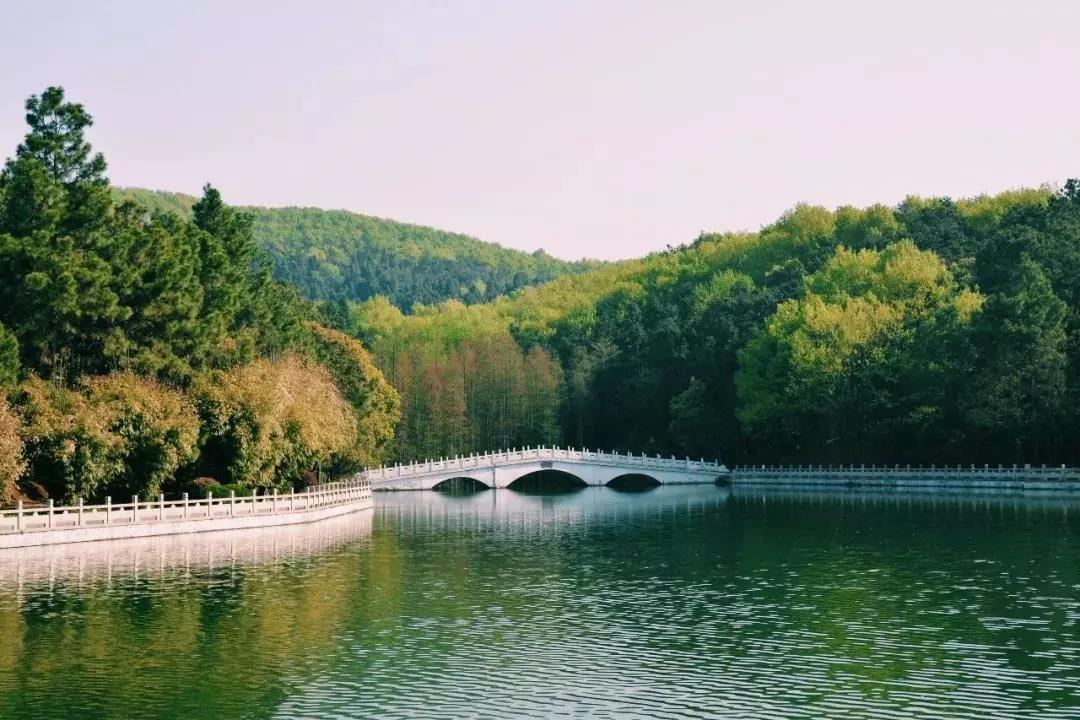 蔡甸九真山向全世界邀请超值!发出套票强.白洋淀攻略一日游自驾图片